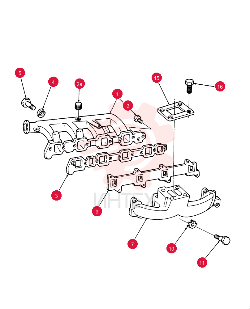 MANIFOLD