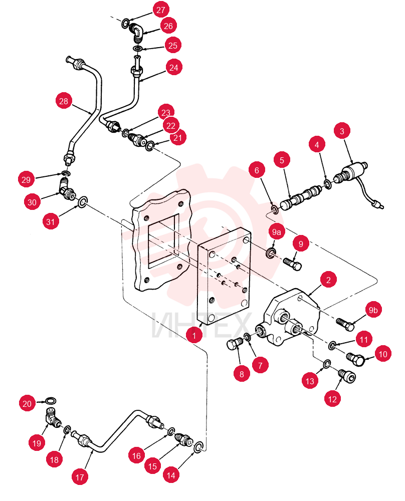 MANIFOLD