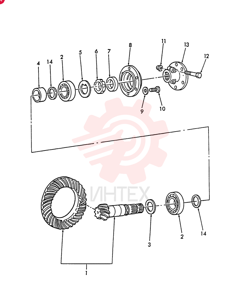 BEVEL GEAR