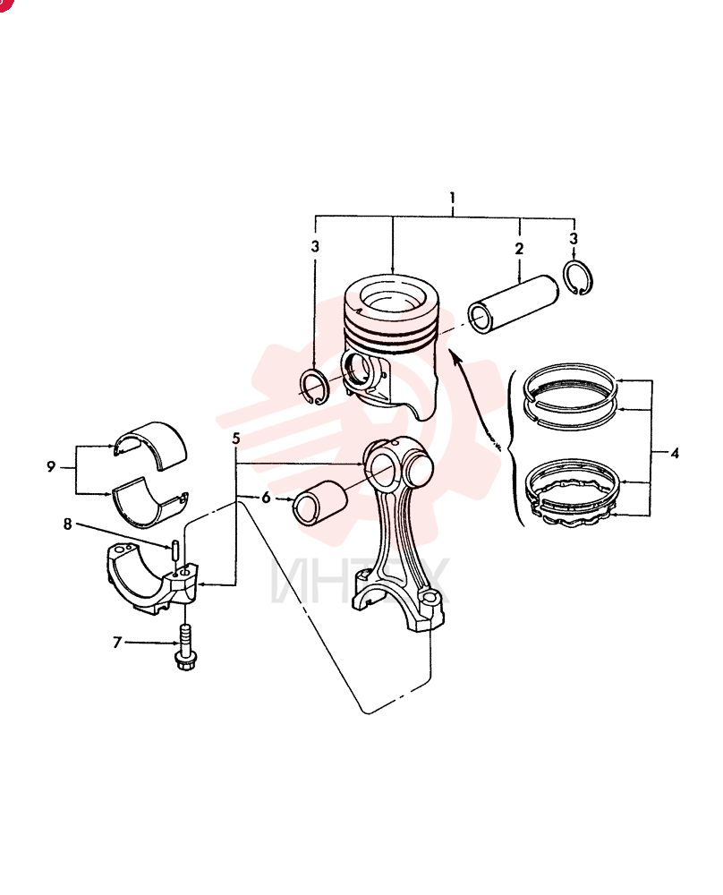 PISTON & RINGS KIT