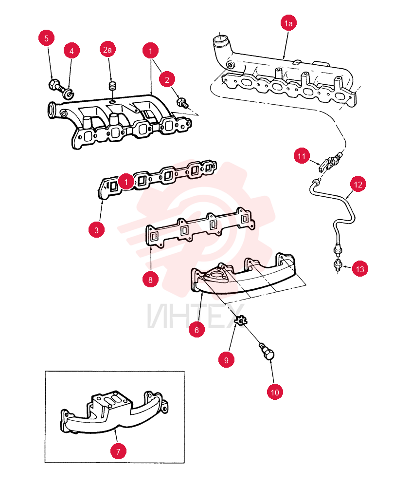 MANIFOLD