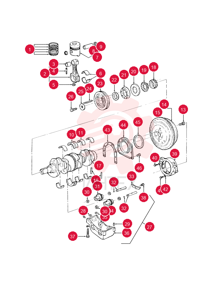 Piston Ring, Standard, Years: 01-JAN-84-28-FEB-85