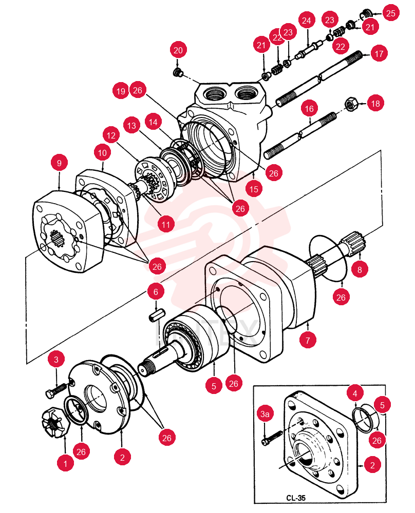HYDRAULIC MOTOR