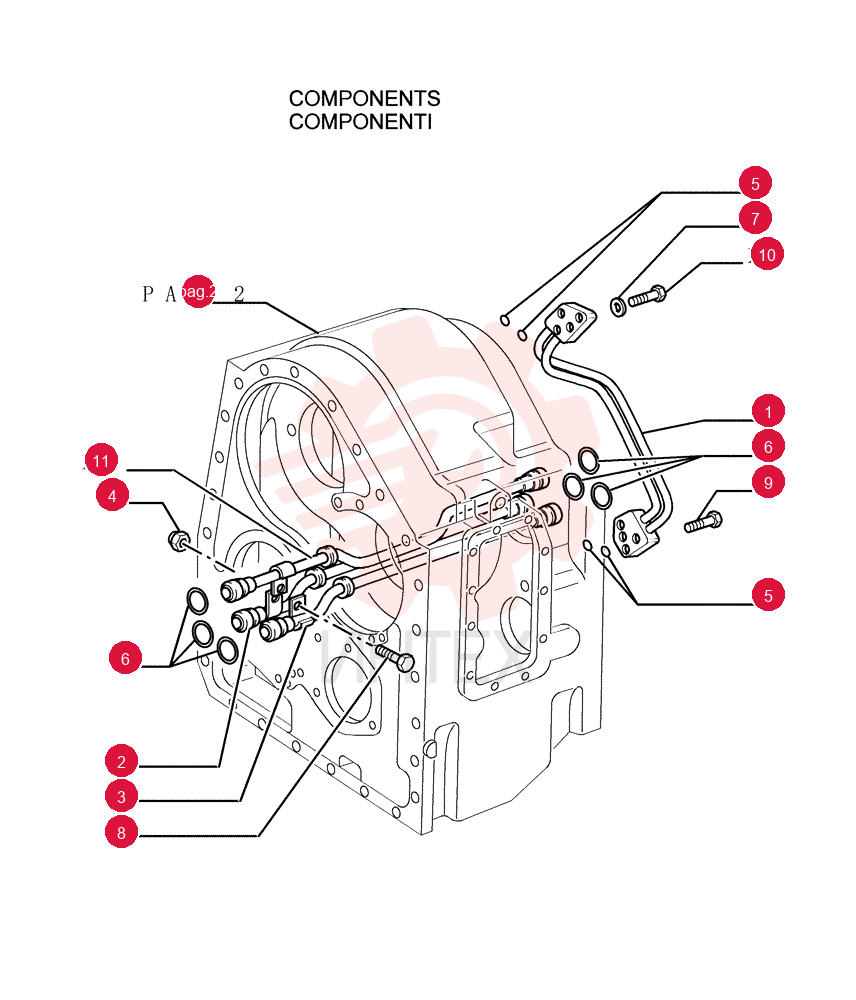 TUBE 4962419