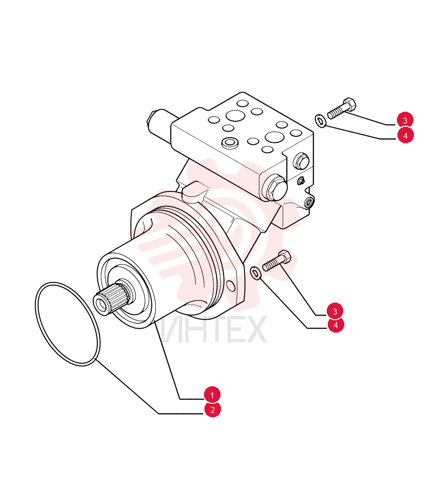 HYDRAULIC MOTOR