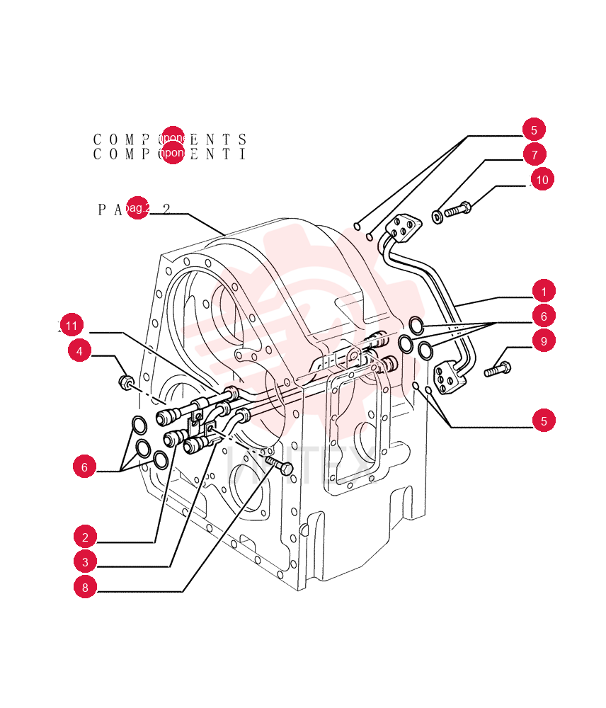 TUBE 4962419