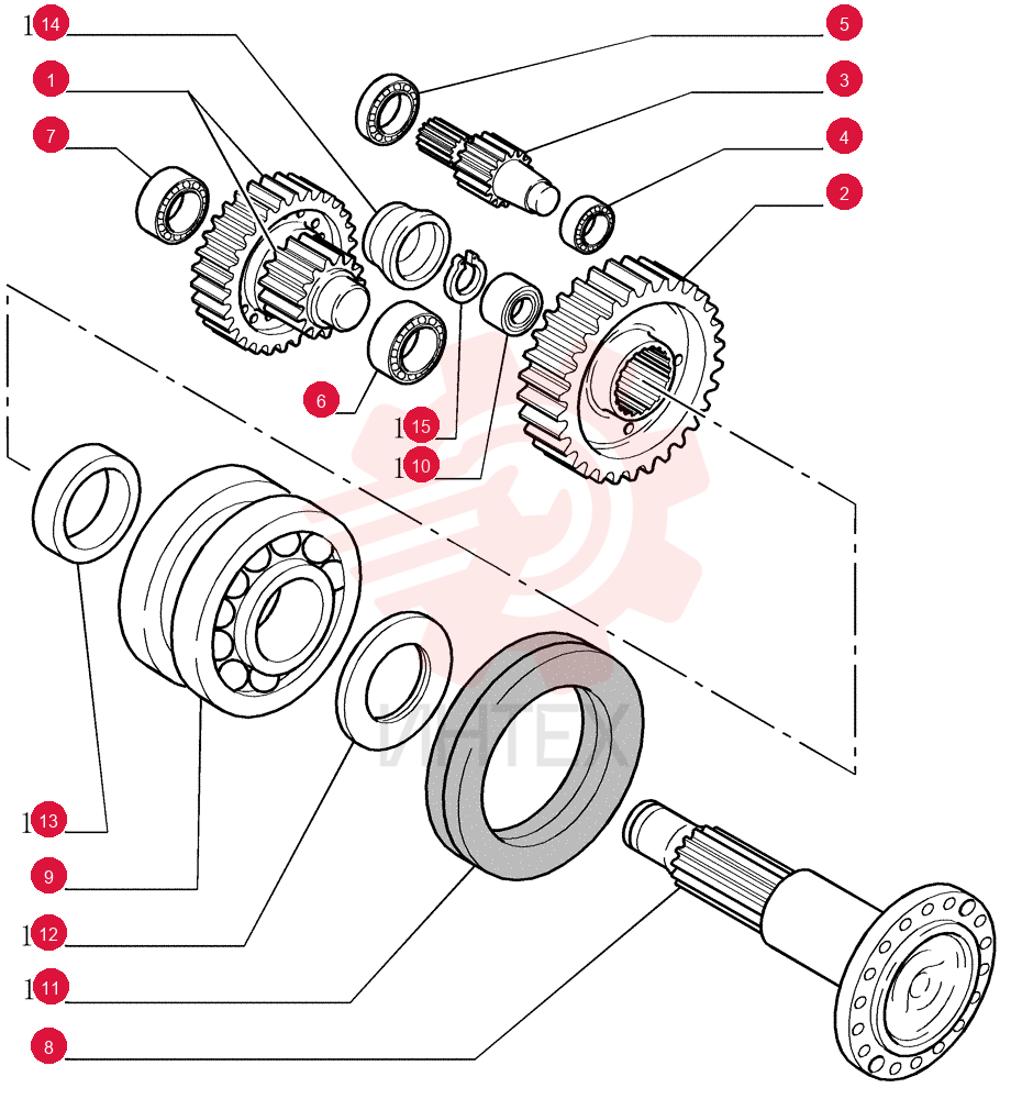 DRIVEN GEAR