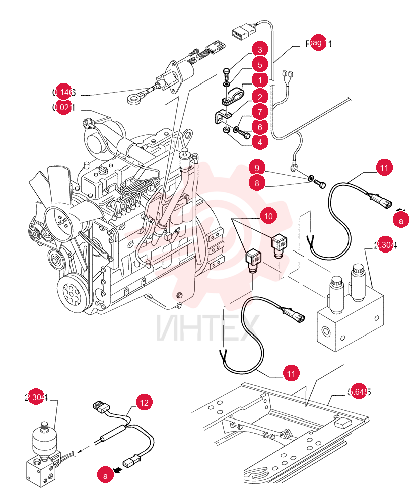 CLAMP