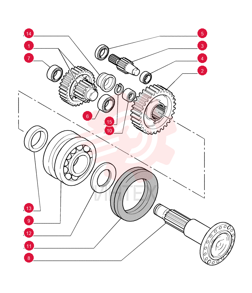 DRIVEN GEAR