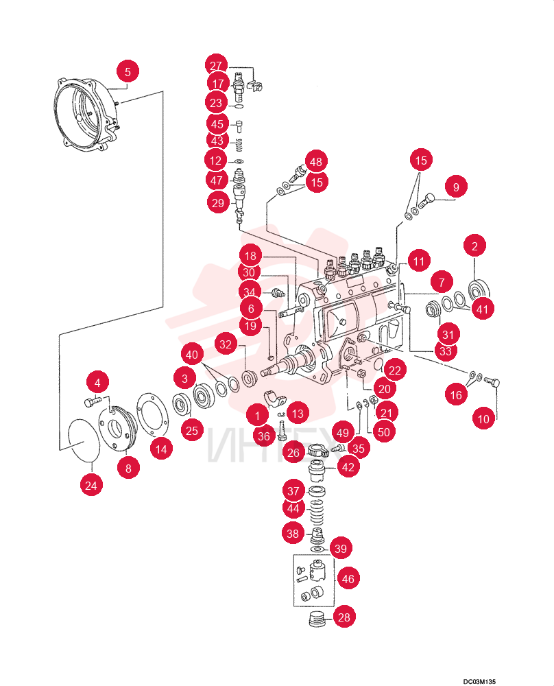 BODY ASSY, INJECTION PUMP  NS