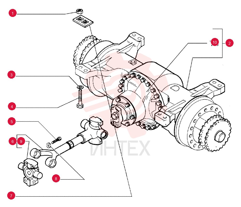 NUT,M24 x 2, Cl 10