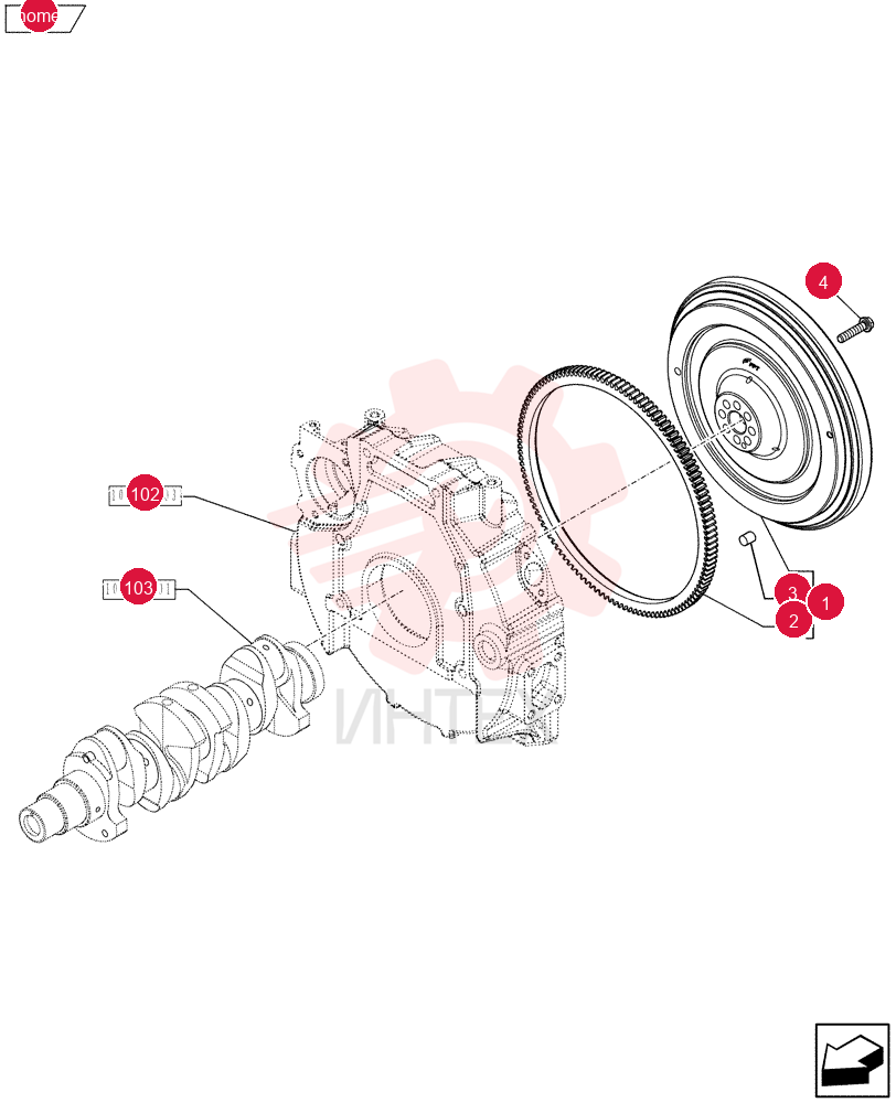 ENGINE FLYWHEEL 504221729