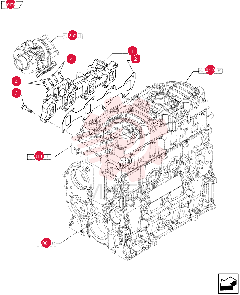 EXHAUST MANIFOLD 504250944