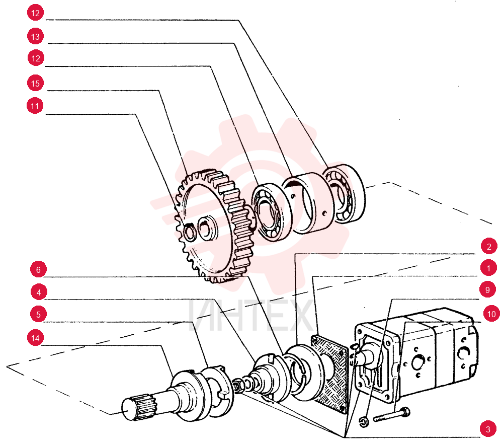 GASKET