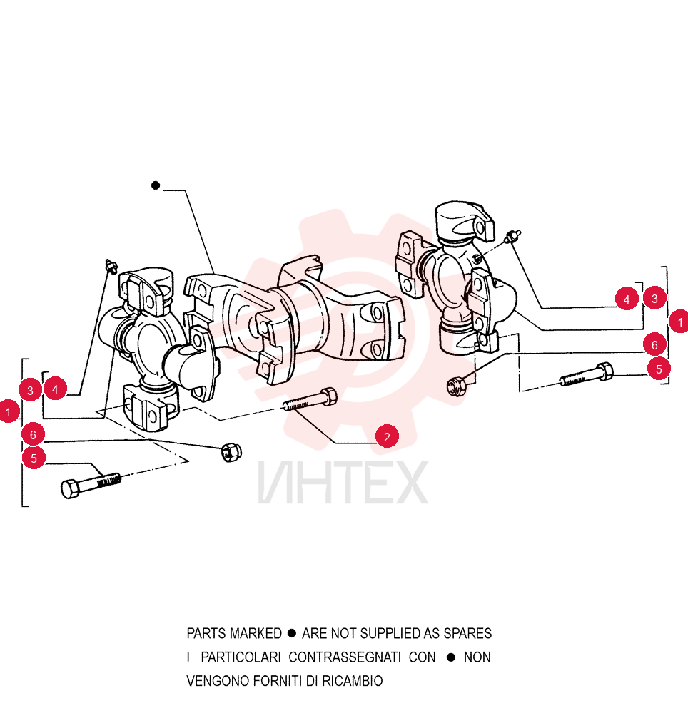 DRIVEN SHAFT