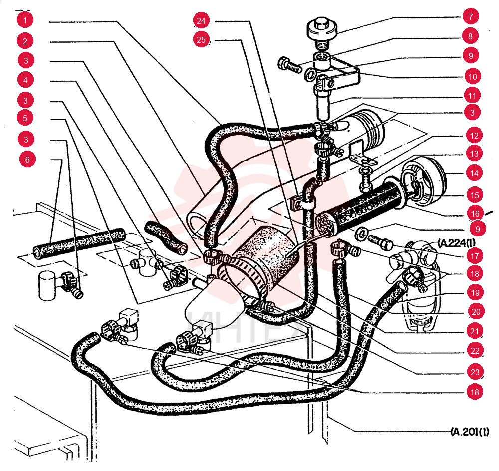 HOSE 73153455