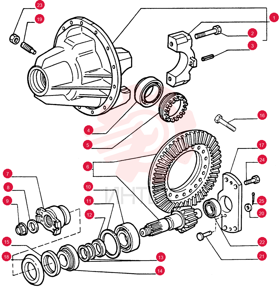 SUPPORT