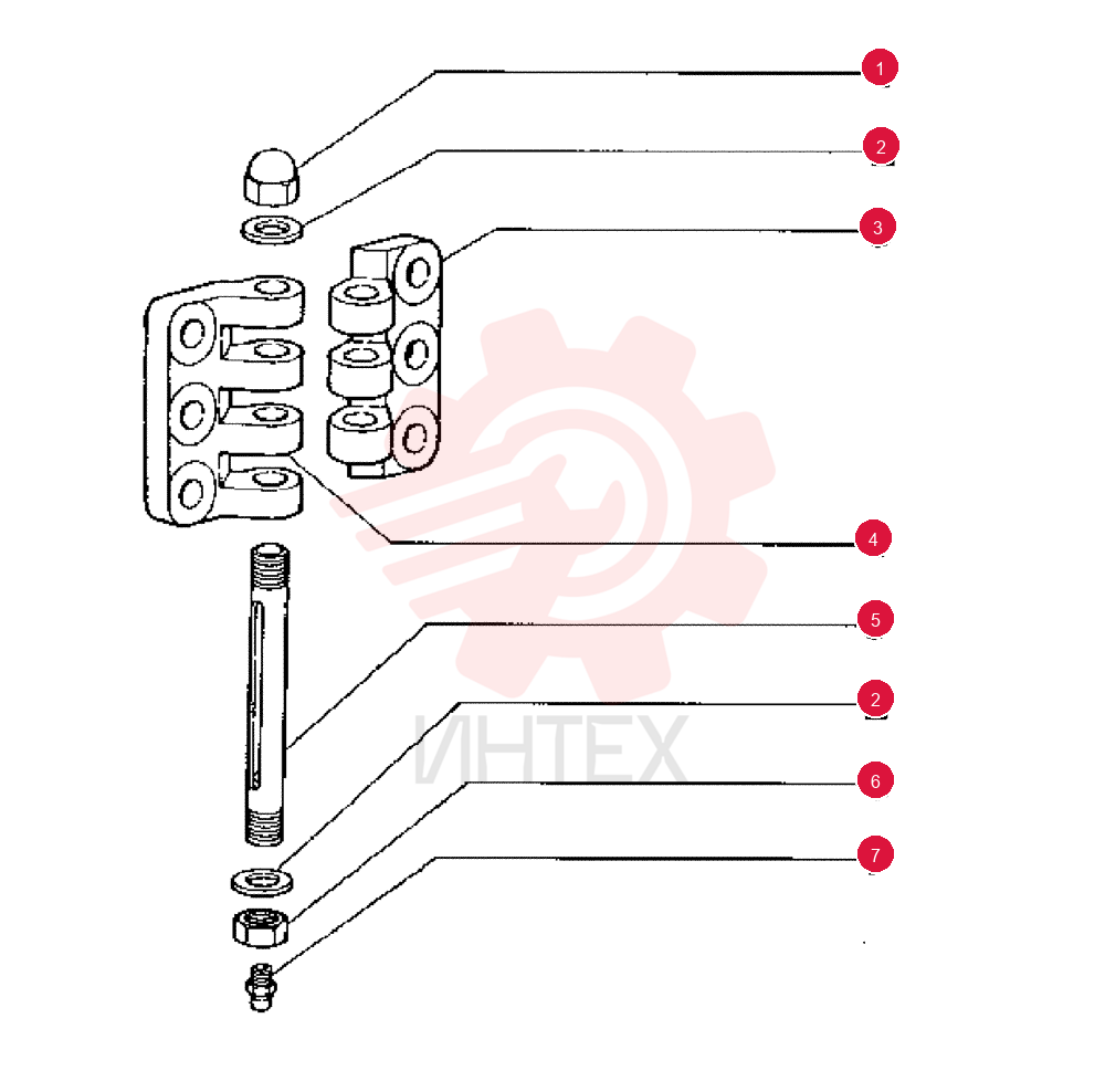 NUT 75310051