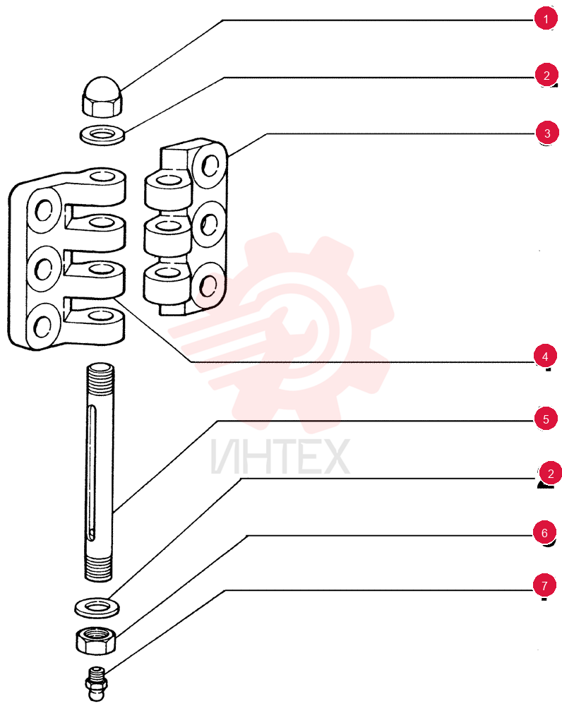 NUT 75310051