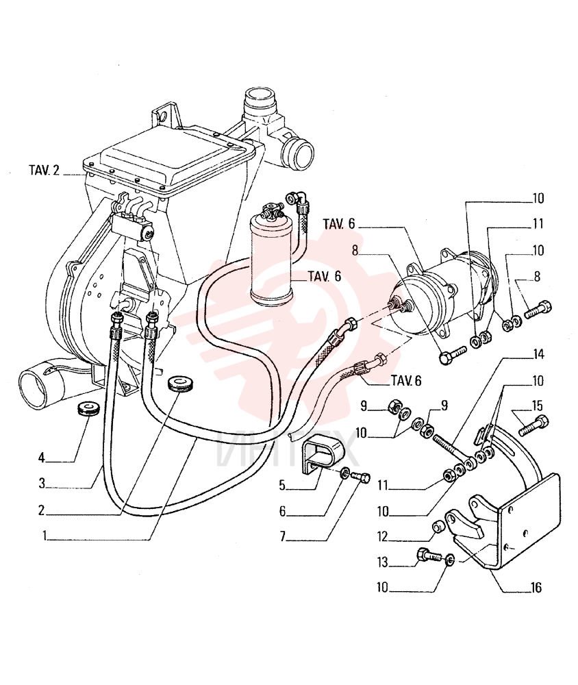 FLEXIBLE HOSE 76034861
