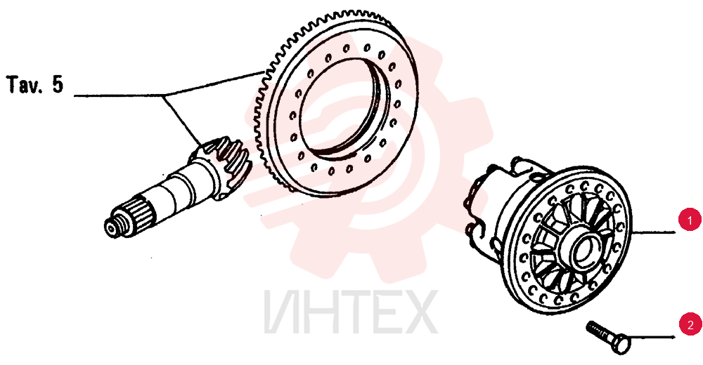 DIFFERENTIAL
