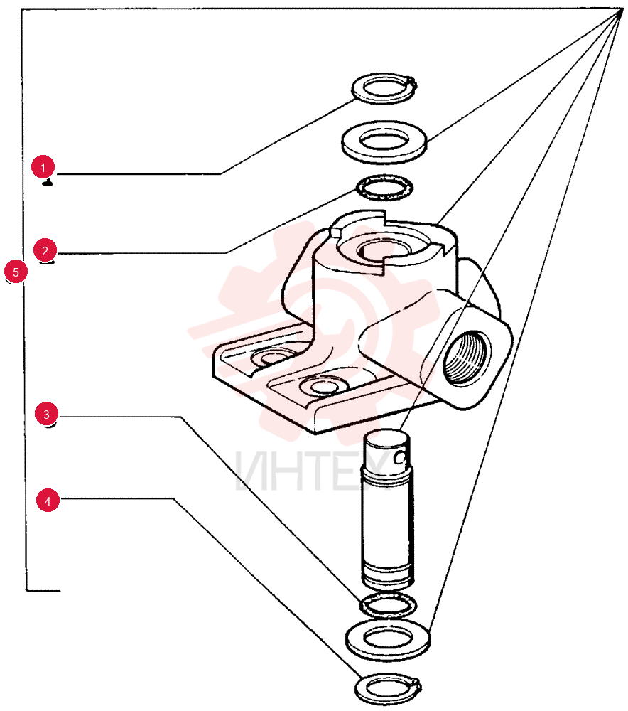 SNAP RING,M19, Ext