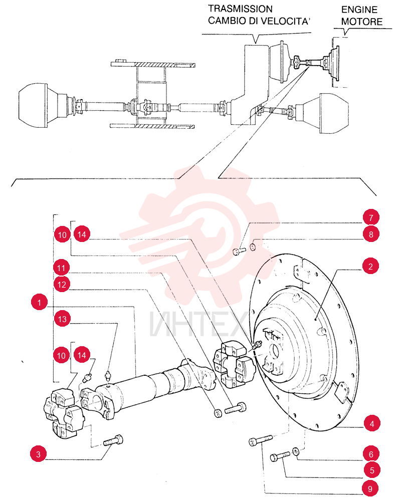 DRIVEN SHAFT