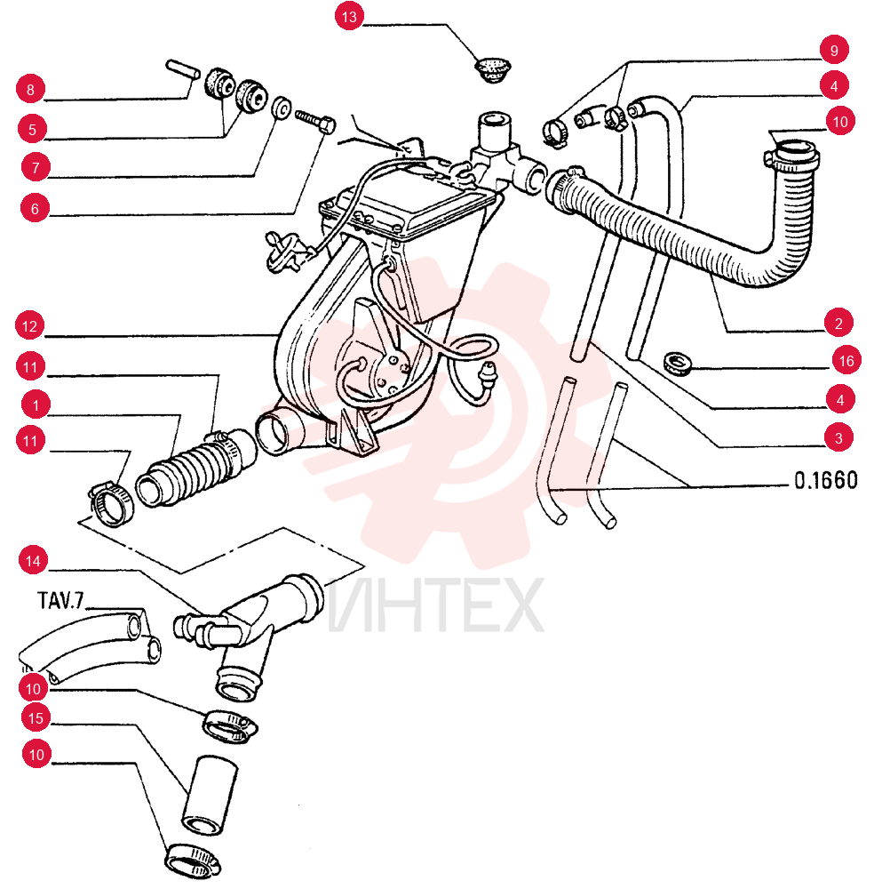 FLEXIBLE HOSE