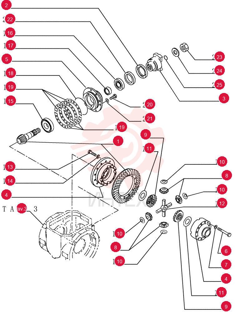 BEVEL GEAR