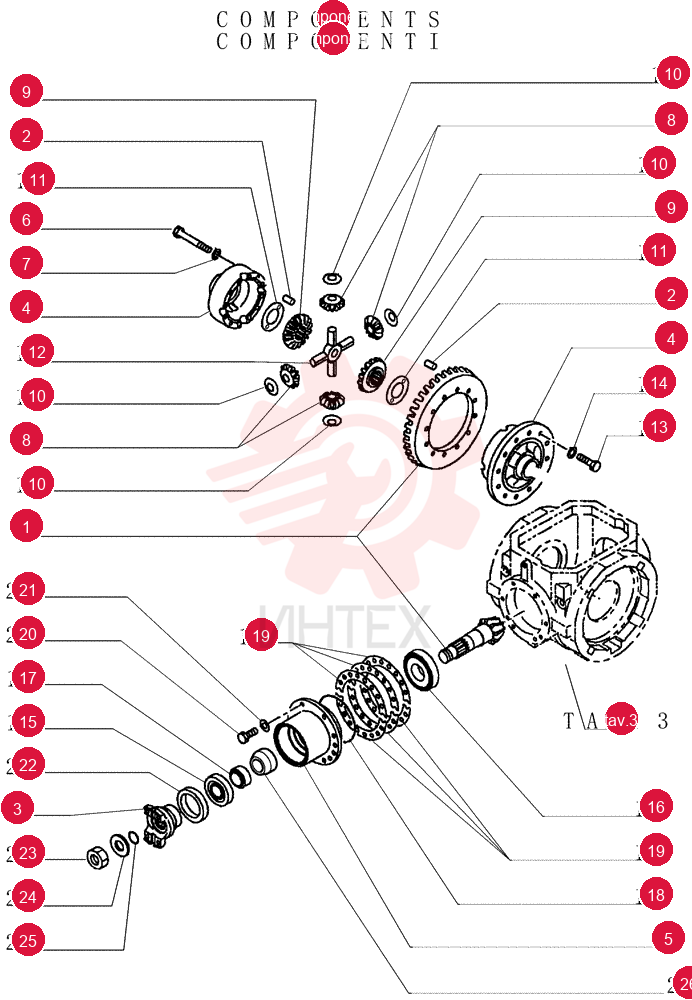 BEVEL GEAR