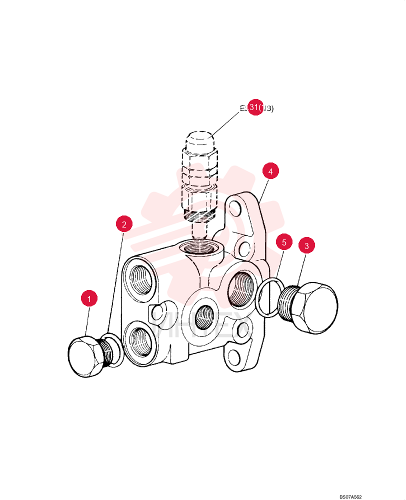 PLUG 75289608 (2)