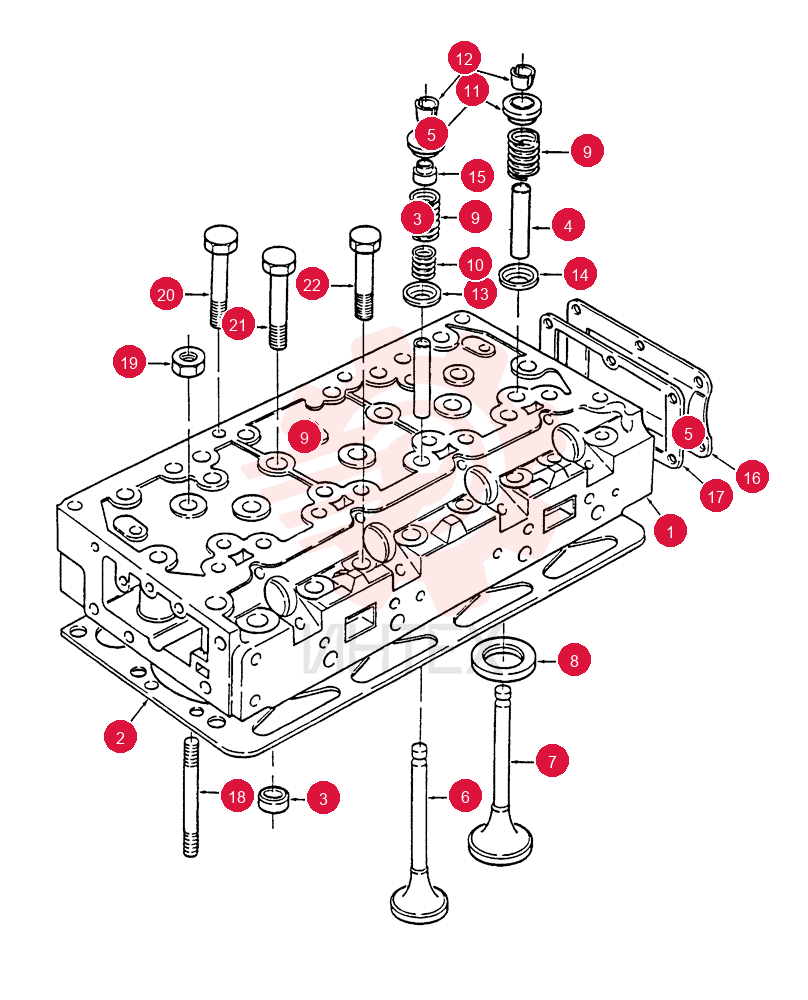 CYLINDER HEAD 505856