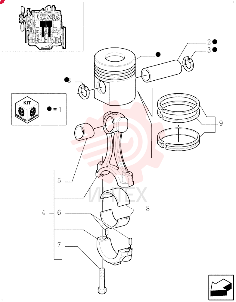 PISTON & RINGS KIT