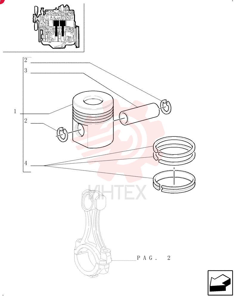 PISTON & RINGS KIT