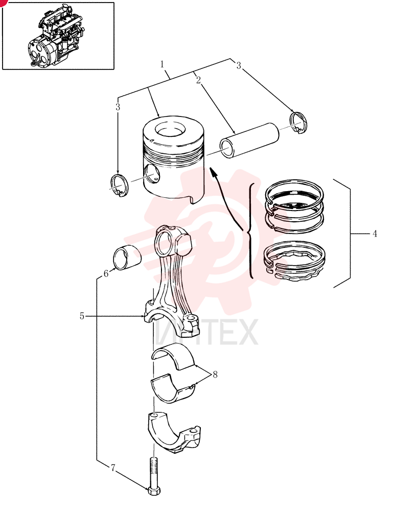 PISTON & RINGS KIT