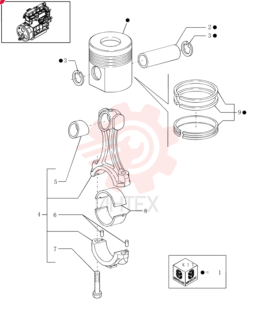 PISTON & RINGS KIT