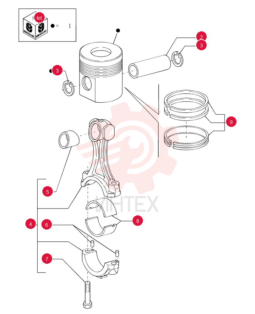 PISTON & RINGS KIT