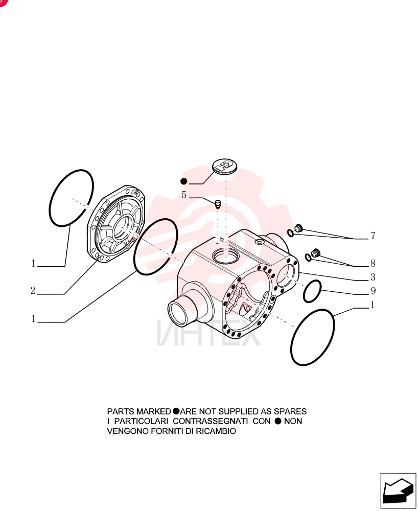 O-RING 76086000 (2)
