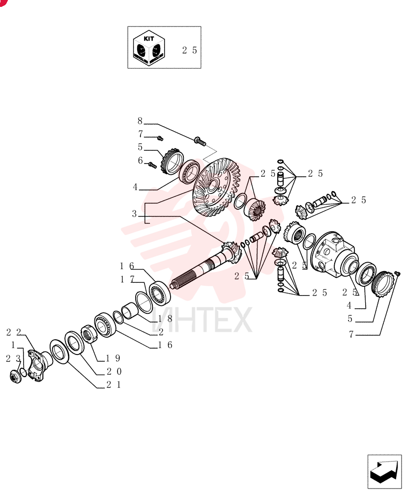 O-RING 76086008 (1)
