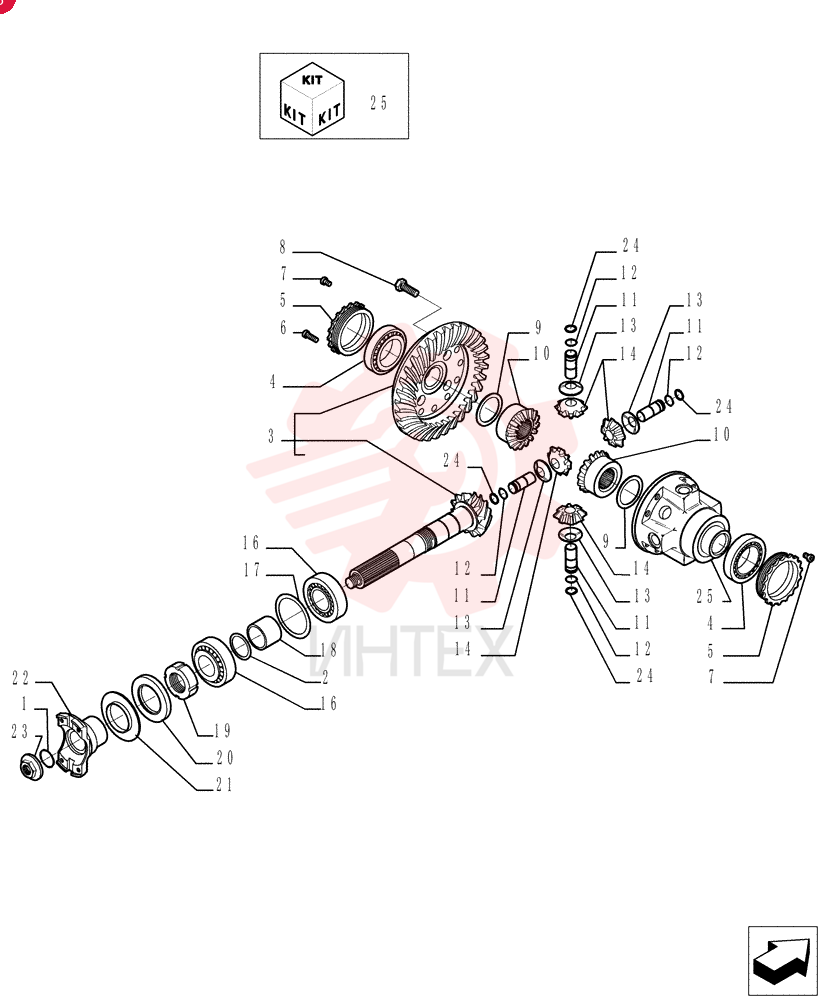 O-RING 76086008 (2)