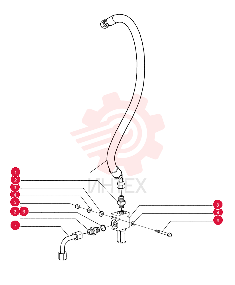 FLEXIBLE HOSE 75237612