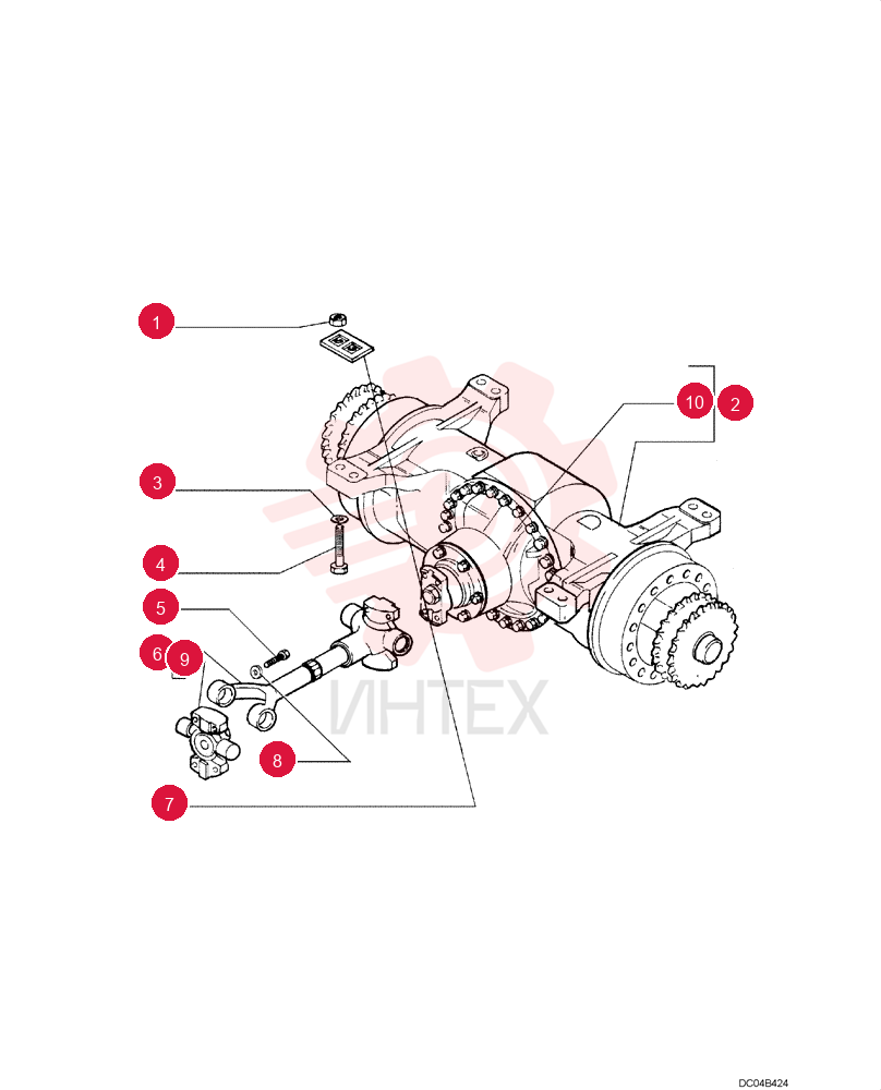 NUT,M24 x 2, Cl 10