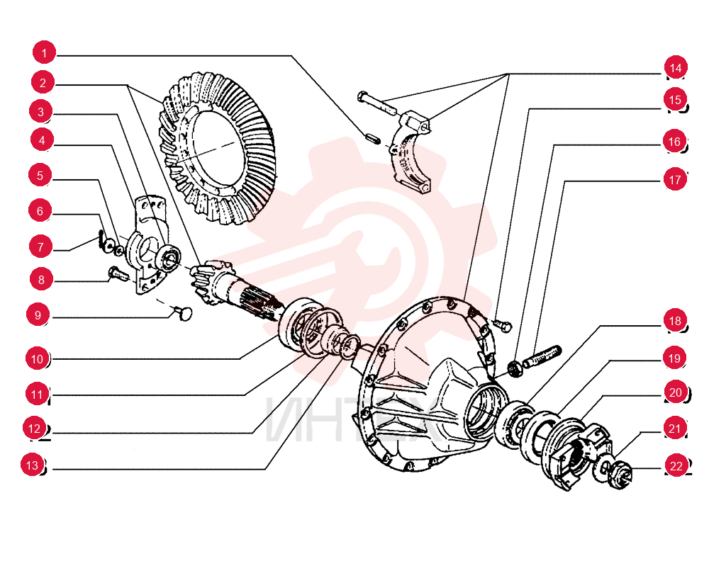 BEVEL GEAR 75289084