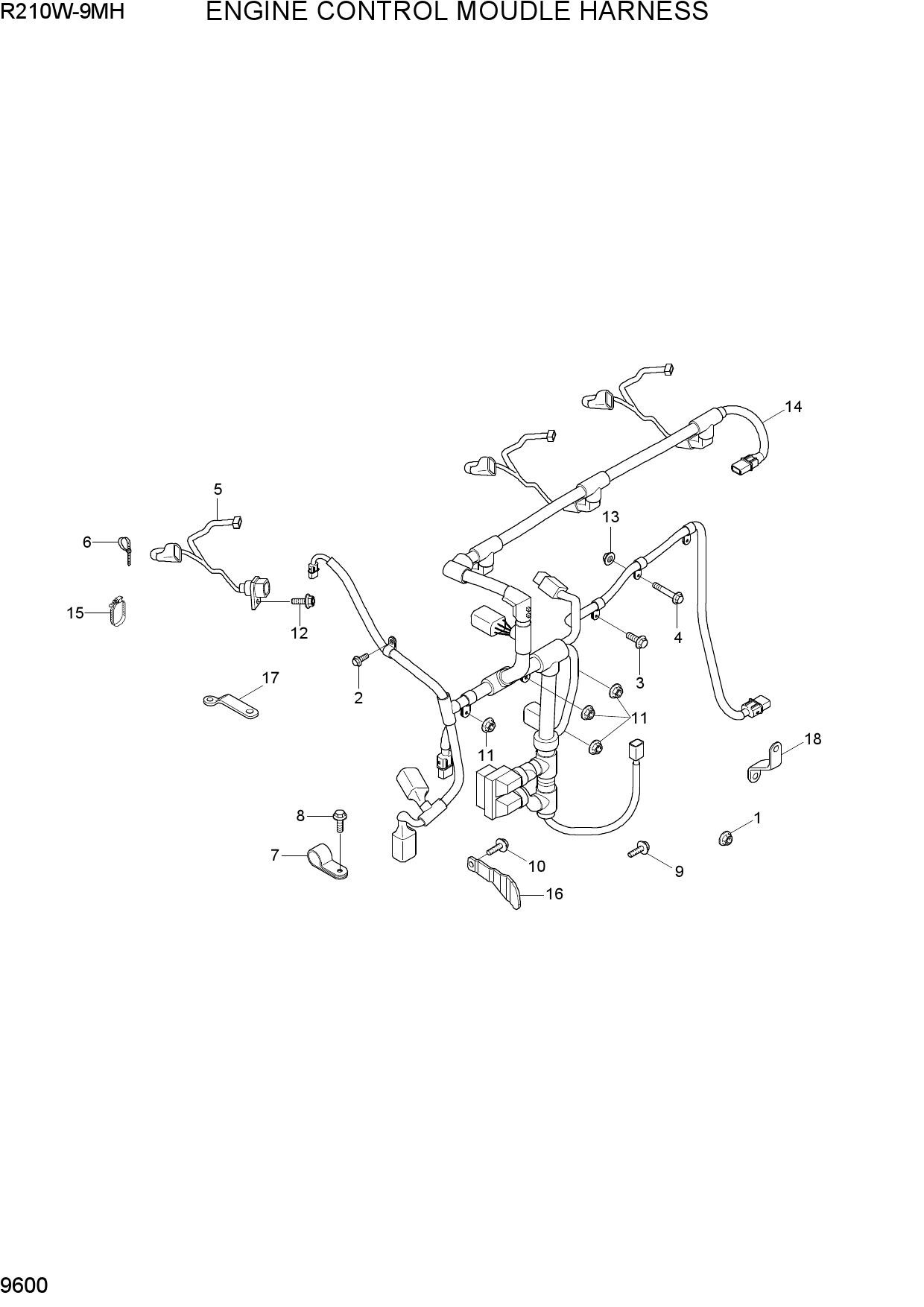 ENGINE CONTROL MODULE HARNESS