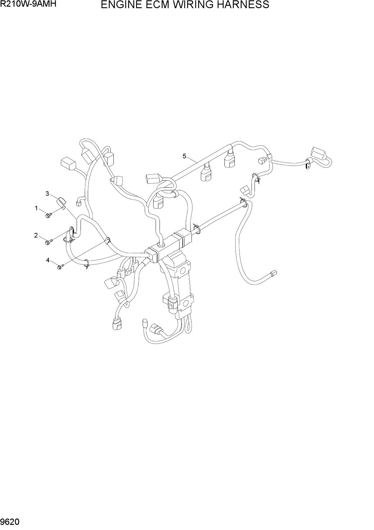 ENGINE ECM WIRING HARNESS