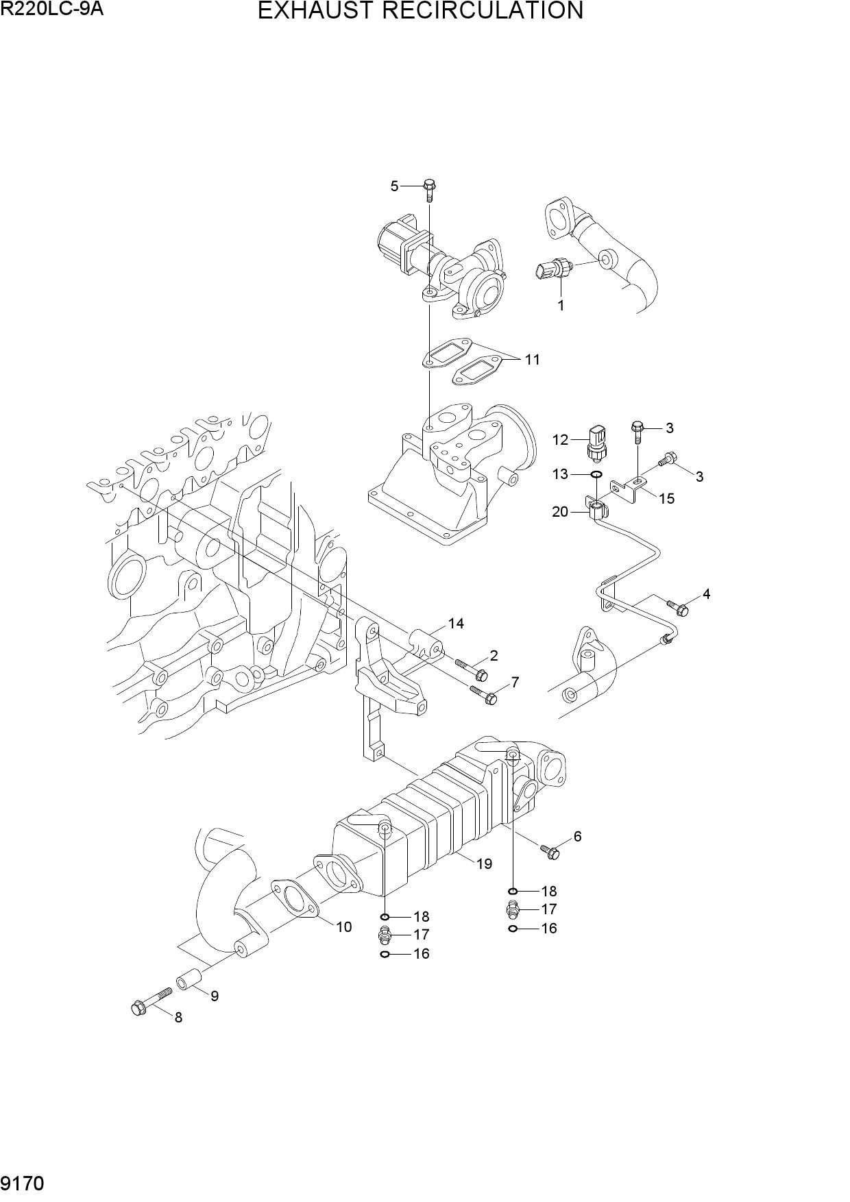 EXHAUST RECIRCULATION