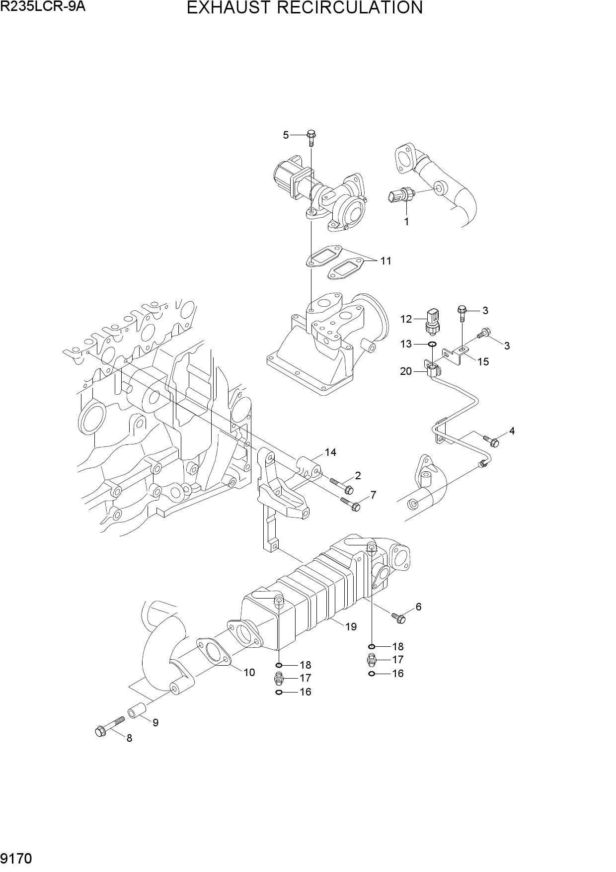 EXHAUST RECIRCULATION