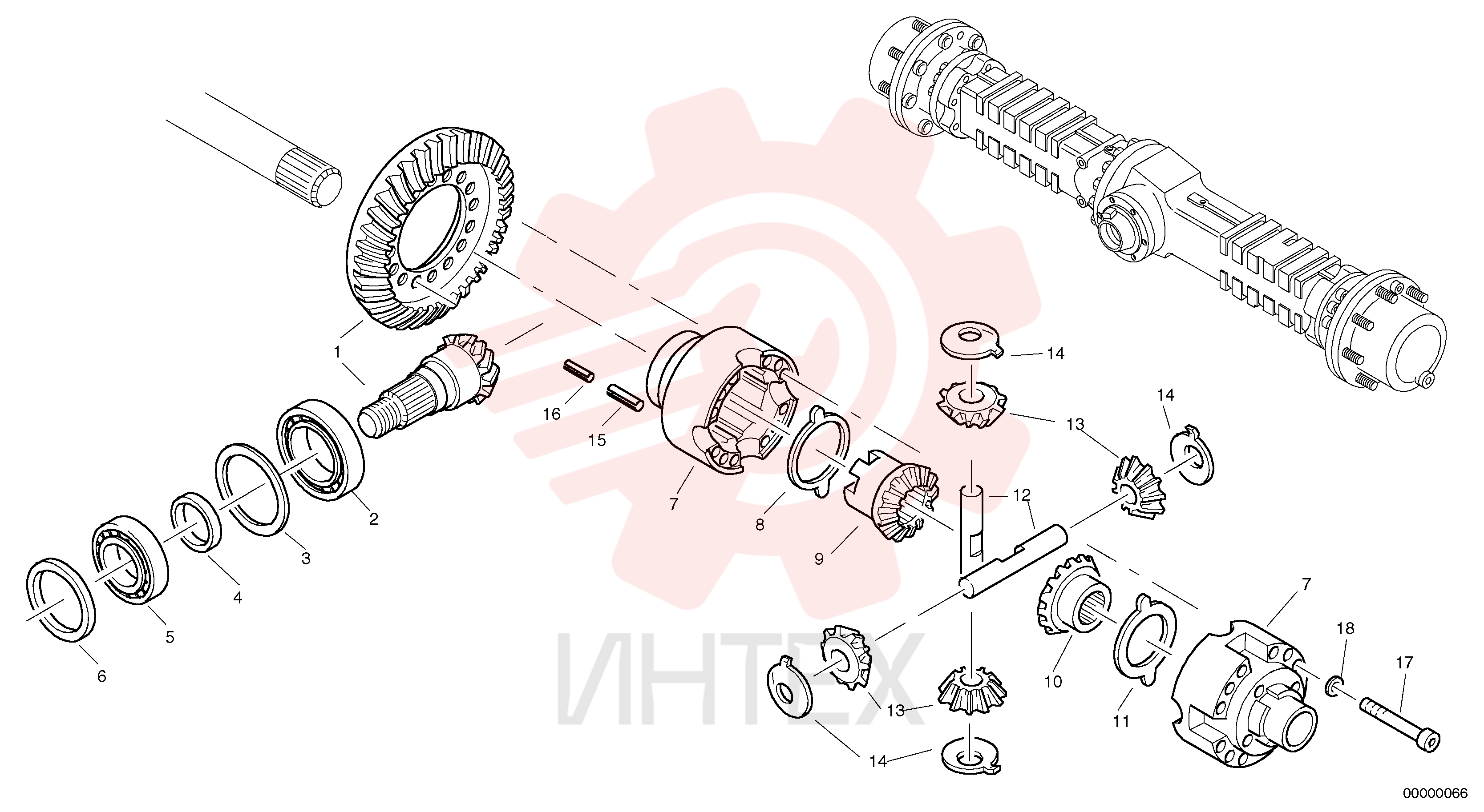 Differential pinion set