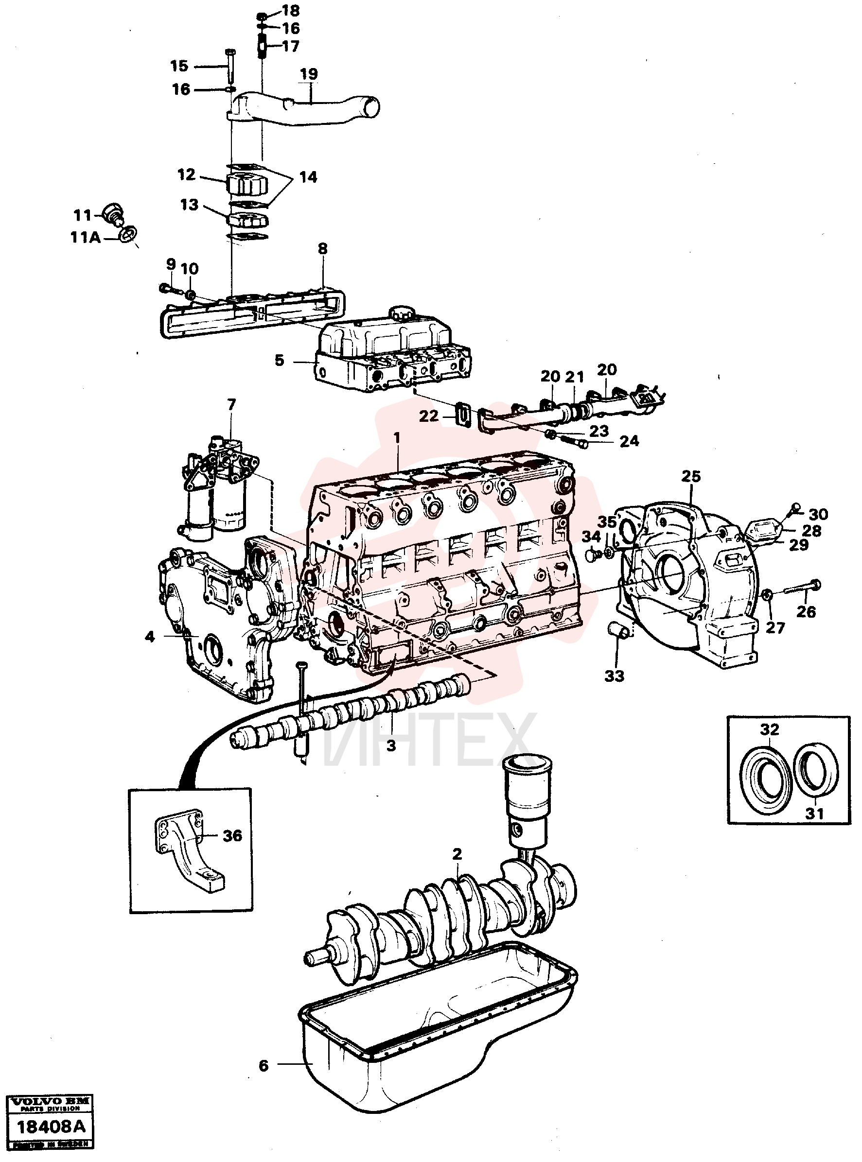 Flange screw
