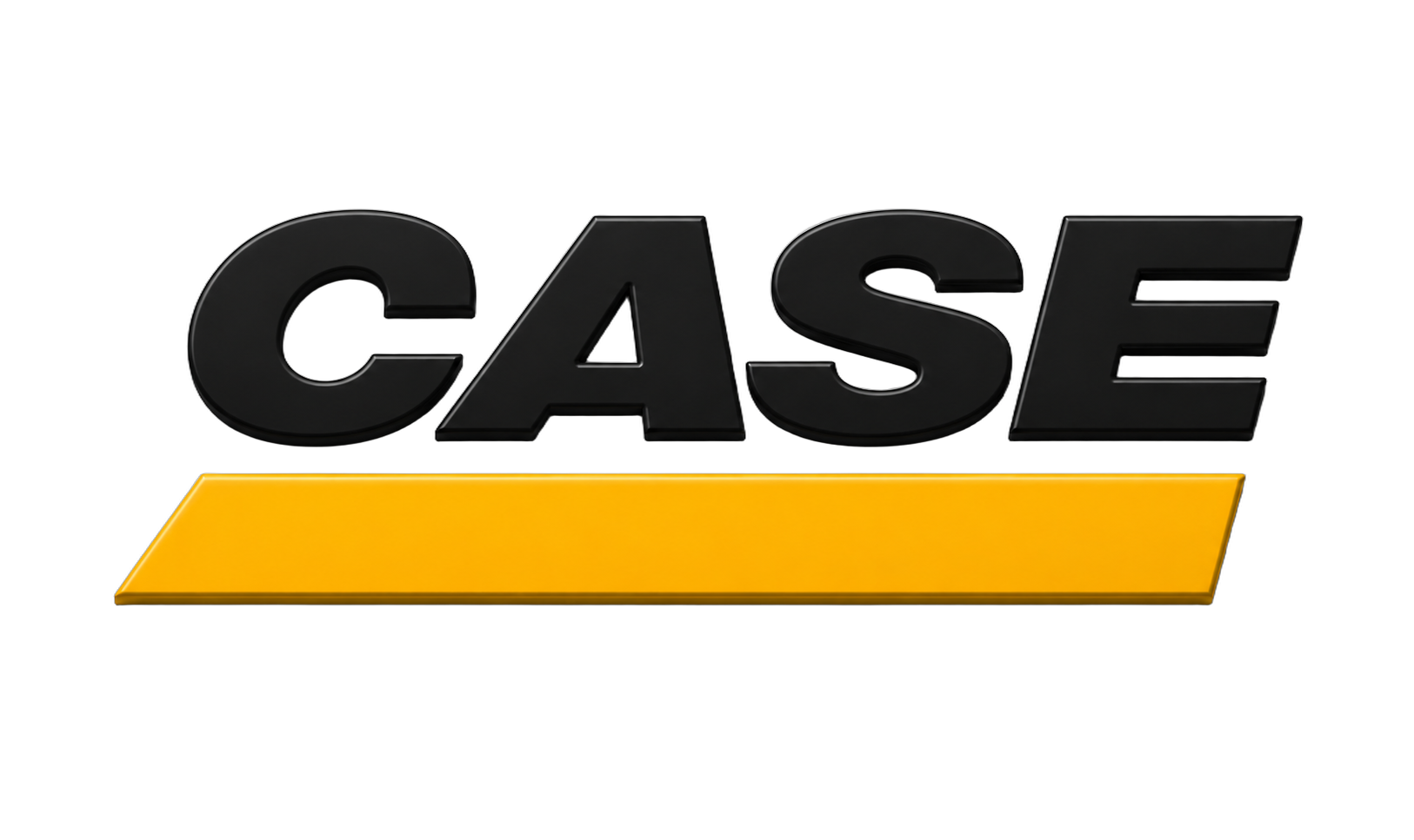 Case